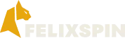 Felixspin logo